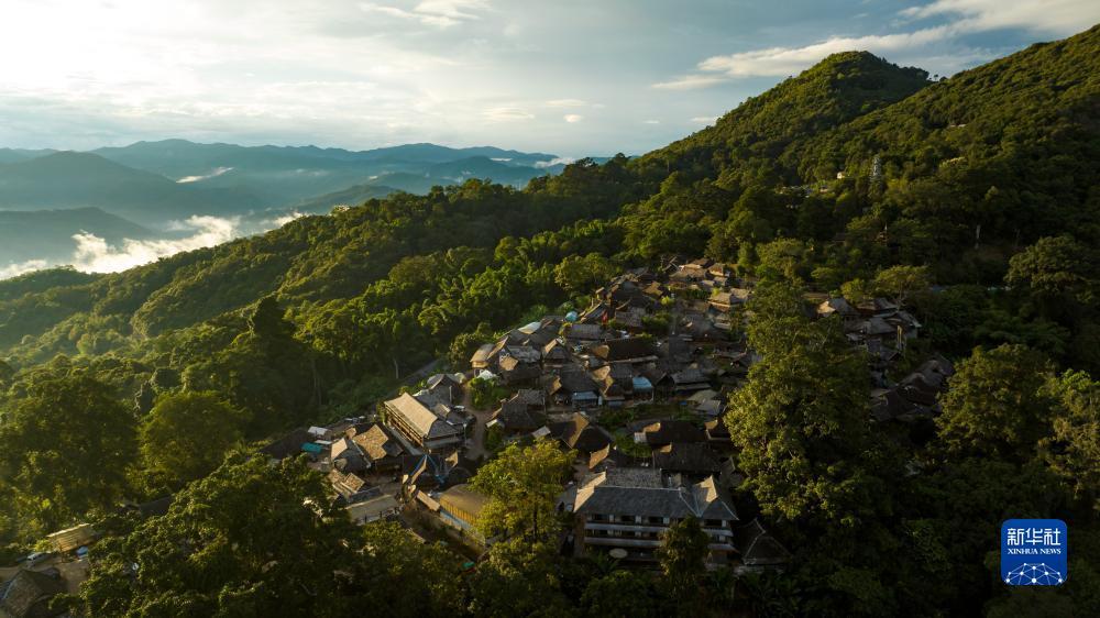 柚子夺宝金币提到什么地方